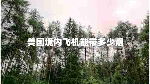 美國境內(nèi)飛機能帶多少煙