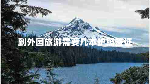 到外國(guó)旅游需要幾本護(hù)照簽證