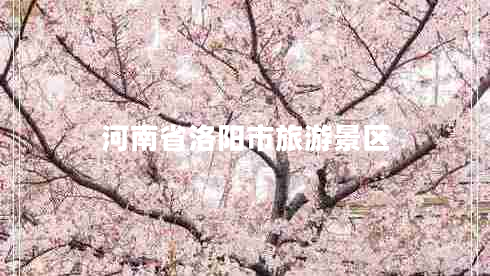 河南省洛陽市旅游景區(qū)