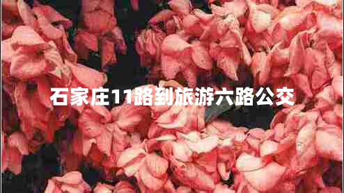 石家莊11路到旅游六路公交 石家莊11路到旅游六路公交