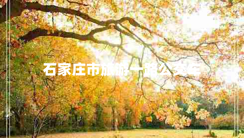 石家莊市旅游一路公交車