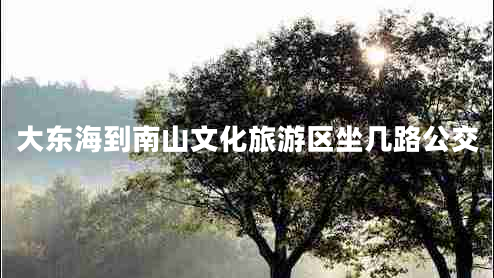 大東海到南山文化旅游區(qū)坐幾路公交