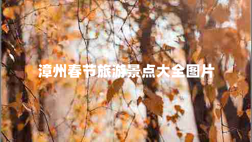 漳州春節(jié)旅游景點大全圖片