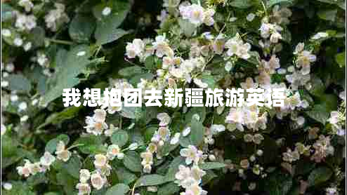 我想抱團(tuán)去新疆旅游英語 我想抱團(tuán)去新疆旅游英語