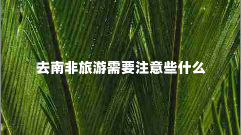 去南非旅游需要注意些什么 去南非旅游需要注意些什么
