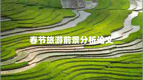 春節(jié)旅游前景分析論文