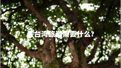 去臺灣旅游需要什么?