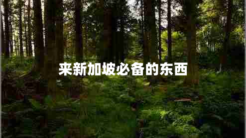 來新加坡必備的東西