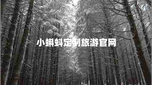 小蝌蚪定制旅游官網(wǎng)