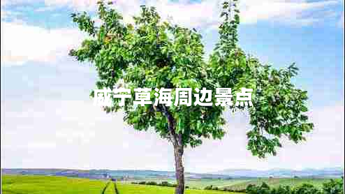 威寧草海周邊景點(diǎn)