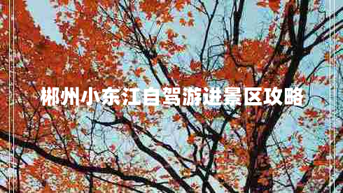 郴州小東江自駕游進(jìn)景區(qū)攻略