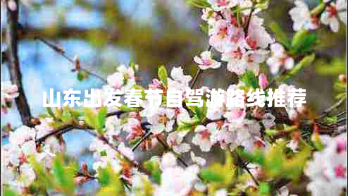 山東出發(fā)春節(jié)自駕游路線推薦