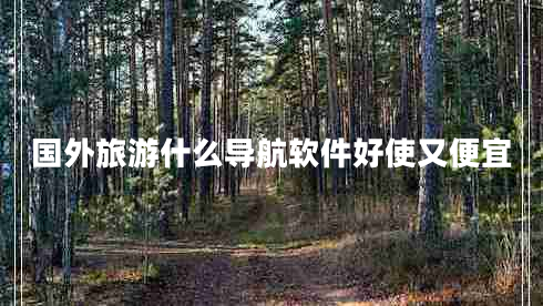 國外旅游什么導航軟件好使又便宜 國外旅游什么導航軟件好使又便宜
