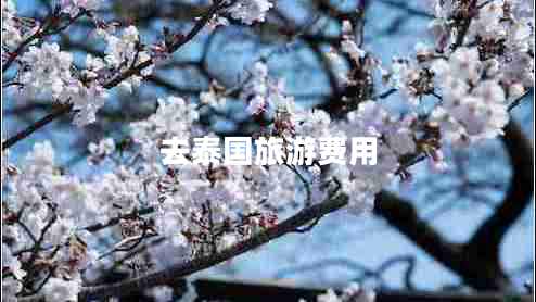 去泰國旅游費(fèi)用