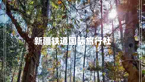 新疆鐵道國(guó)際旅行社