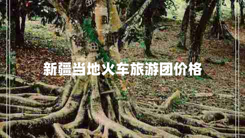 新疆當(dāng)?shù)鼗疖嚶糜螆F(tuán)價格 新疆當(dāng)?shù)鼗疖嚶糜螆F(tuán)價格