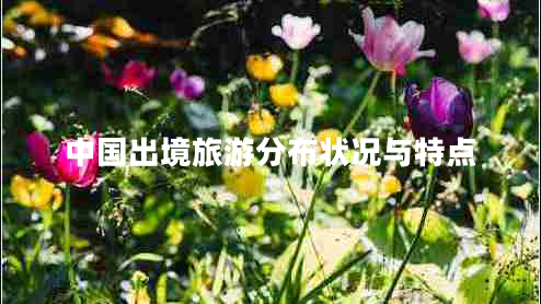 中國(guó)出境旅游分布狀況與特點(diǎn) 中國(guó)出境旅游分布狀況與特點(diǎn)