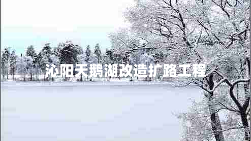 沁陽(yáng)天鵝湖改造擴(kuò)路工程