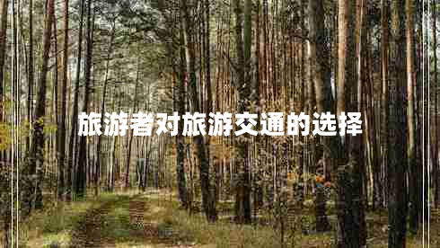 旅游者對旅游交通的選擇 旅游者對旅游交通的選擇