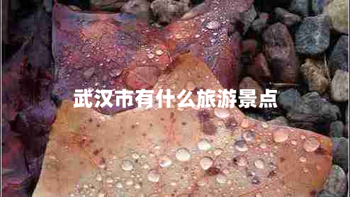 武漢市有什么旅游景點(diǎn)