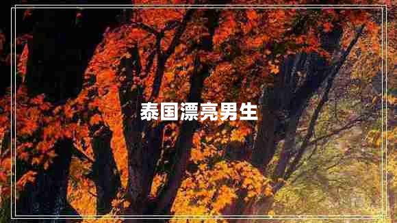 泰國(guó)漂亮男生