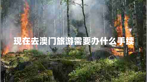 現(xiàn)在去澳門(mén)旅游需要辦什么手續(xù)