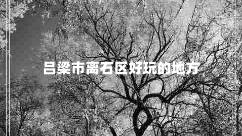 呂梁市離石區(qū)好玩的地方