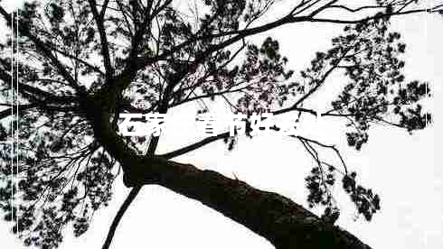 石家莊春節(jié)好去處