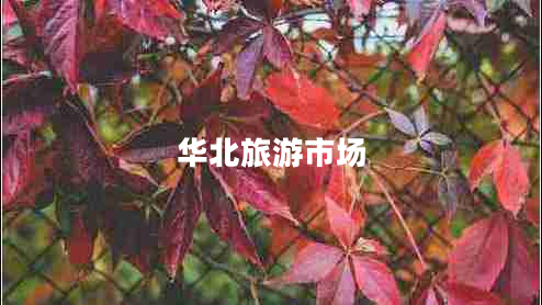 華北旅游市場