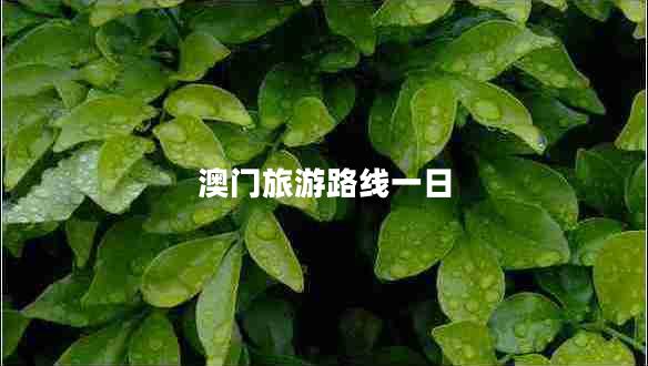 澳門(mén)旅游路線一日