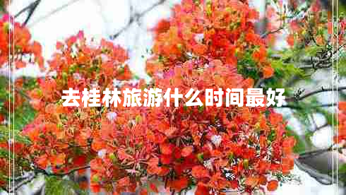 去桂林旅游什么時間最好