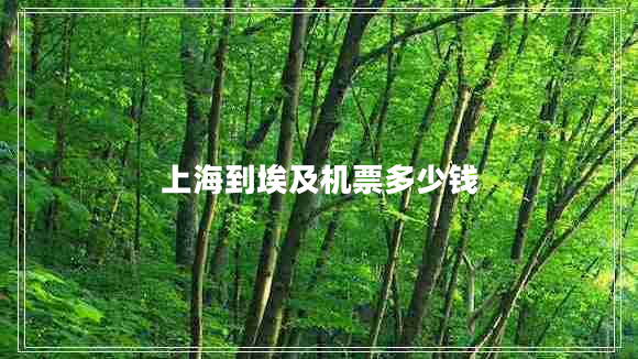 上海到埃及機(jī)票多少錢