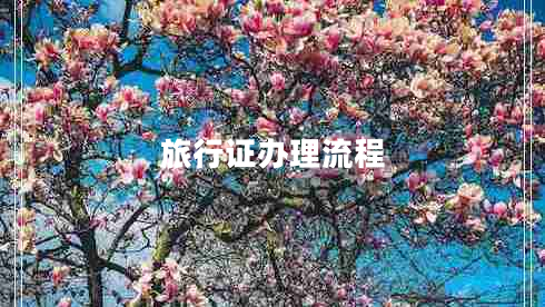 旅行證辦理流程