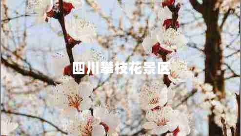 四川攀枝花景區(qū)