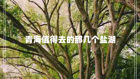 青海值得去的那幾個鹽湖 青海值得去的那幾個鹽湖