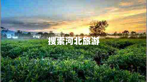 搜索河北旅游 搜索河北旅游