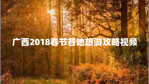 廣西2018春節(jié)各地旅游攻略視頻
