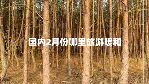 國內(nèi)2月份哪里旅游暖和