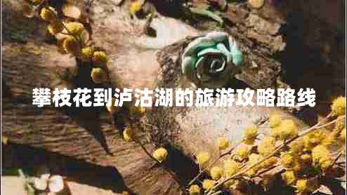 攀枝花到瀘沽湖的旅游攻略路線 攀枝花到瀘沽湖的旅游攻略路線