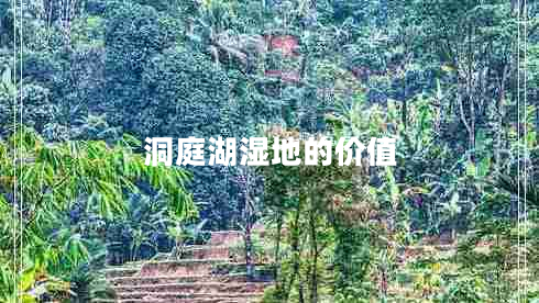 洞庭湖濕地的價(jià)值 洞庭湖濕地的價(jià)值