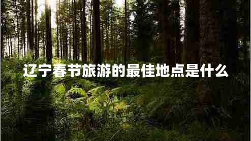 遼寧春節(jié)旅游的最佳地點(diǎn)是什么 遼寧春節(jié)旅游的最佳地點(diǎn)是什么