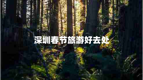 深圳春節(jié)旅游好去處 深圳春節(jié)旅游好去處