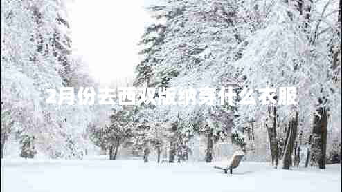 2月份去西雙版納穿什么衣服