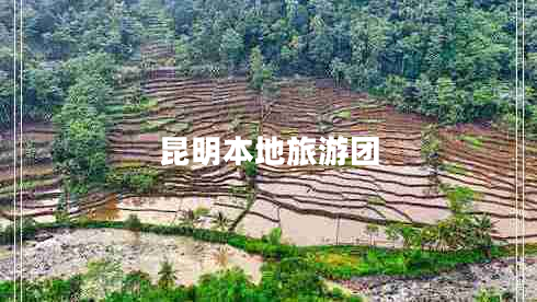 昆明本地旅游團