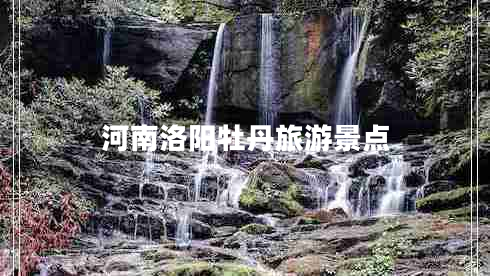 河南洛陽牡丹旅游景點