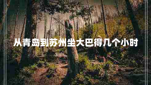 從青島到蘇州坐大巴得幾個小時 從青島到蘇州坐大巴得幾個小時