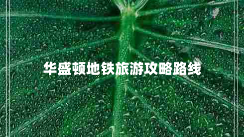 華盛頓地鐵旅游攻略路線 華盛頓地鐵旅游攻略路線