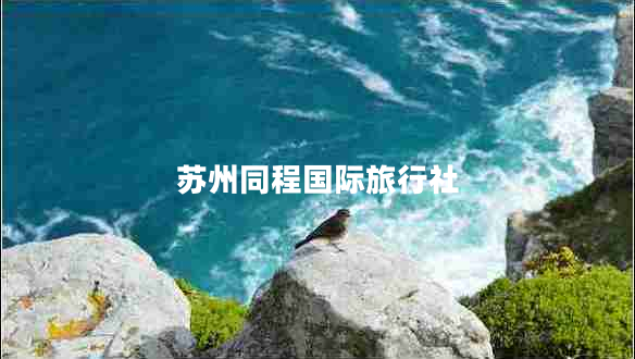 蘇州同程國(guó)際旅行社