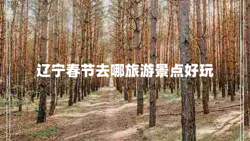 遼寧春節(jié)去哪旅游景點好玩