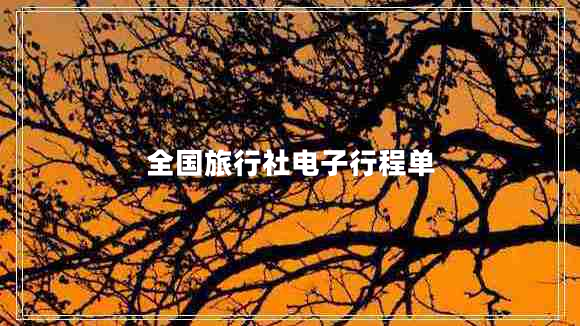 全國旅行社電子行程單 全國旅行社電子行程單